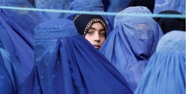 افغانستان و دموکراسی و فرهنگ و سیاست