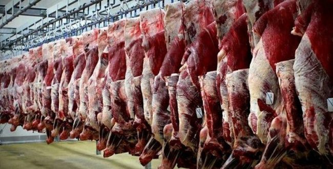 قادری ، عضو کمیسیون برنامه و بودجه مجلس خبر داد گوشت در نوبت حذف یارانه / یارانه ماهانه هر نفر ۲۰۰ هزار تومان